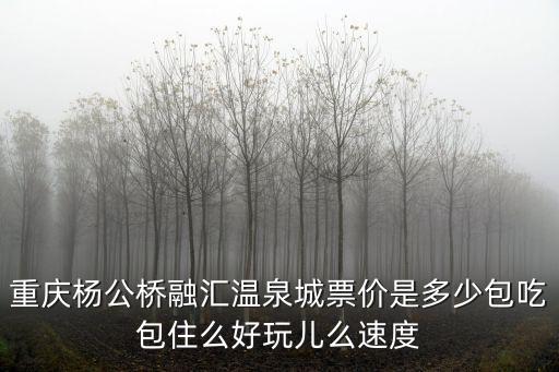 重慶楊公橋融匯溫泉城票價是多少包吃包住么好玩兒么速度