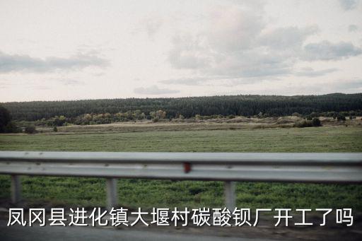 鳳岡縣進化鎮(zhèn)大堰村碳酸鋇廠開工了嗎