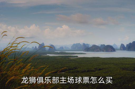 龍獅俱樂部主場球票怎么買