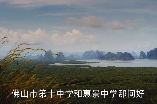 佛山市第十中學(xué)和惠景中學(xué)那間好