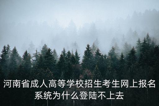 河南省成人高等學校招生考生網上報名系統為什么登陸不上去