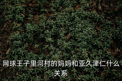 網(wǎng)球王子里河村的媽媽和亞久津仁什么關(guān)系