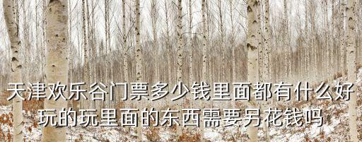 天津歡樂(lè)谷門票多少錢里面都有什么好玩的玩里面的東西需要另花錢嗎