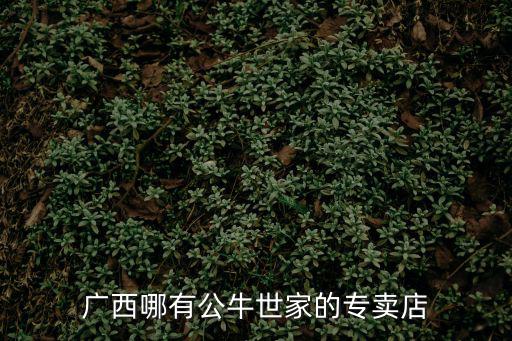 廣西哪有公牛世家的專賣店