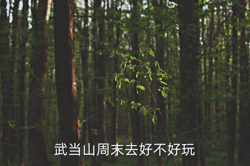 武當(dāng)山周末去好不好玩