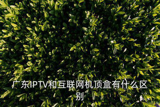 廣東IPTV和互聯網機頂盒有什么區別