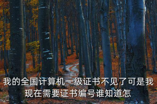 計(jì)算機(jī)一級(jí)證書查詢，計(jì)算機(jī)等級(jí)證怎么查