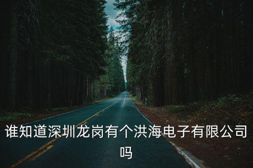 誰知道深圳龍崗有個洪海電子有限公司嗎