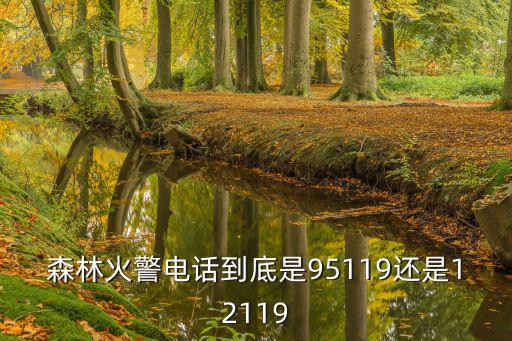 森林火警電話到底是95119還是12119