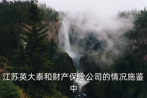 英大泰和財產(chǎn)保險公司，英大泰和保險公司是國企還是央企