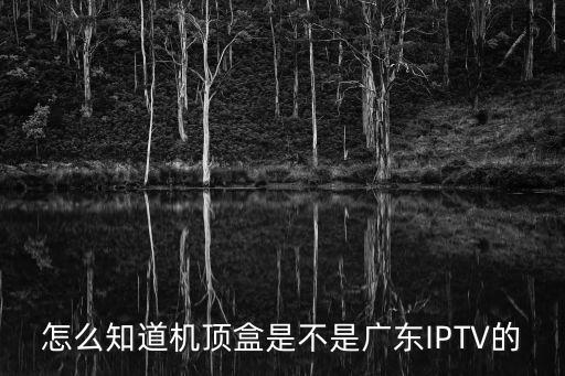廣東iptv，怎么知道機頂盒是不是廣東IPTV的