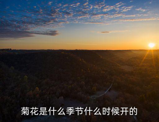 菊花是什么季節什么時候開的