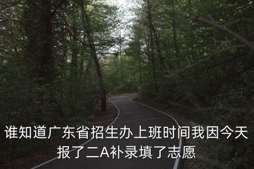 廣東省招生辦官網，2010廣東高考網上怎樣填志愿網站謝謝