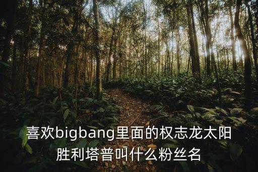 喜歡bigbang里面的權志龍太陽勝利塔普叫什么粉絲名