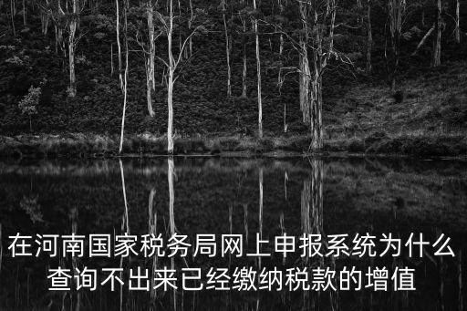 河南電子稅務局官網，河南省國家稅務局通用定額發票查詢
