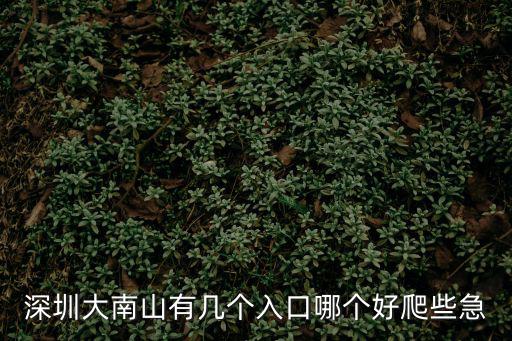 深圳大南山有幾個入口哪個好爬些急