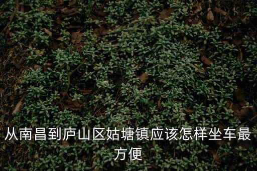 從南昌到廬山區姑塘鎮應該怎樣坐車最方便