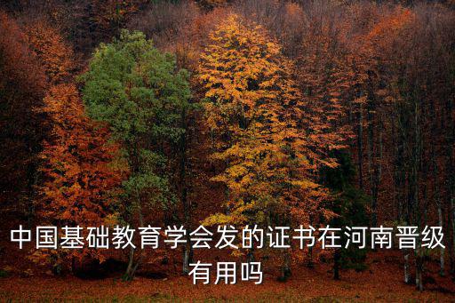 中國基礎教育學會發的證書在河南晉級有用嗎