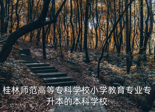 桂林師范高等專科學校小學教育專業(yè)專升本的本科學校