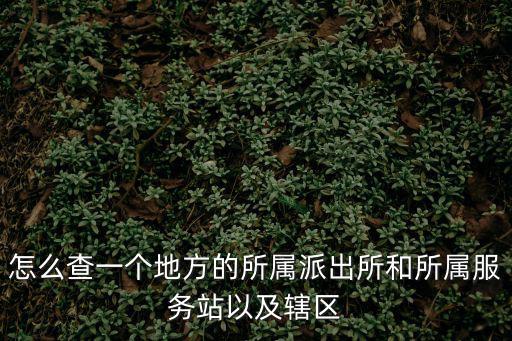 怎么查一個地方的所屬派出所和所屬服務站以及轄區