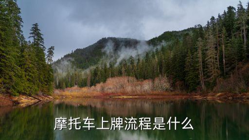 摩托車上牌流程是什么