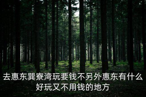 巽寮灣在哪里，去惠東巽寮灣玩要錢不另外惠東有什么好玩又不用錢的地方