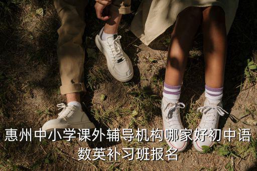 惠州教育，惠州中小學課外輔導機構哪家好初中語數英補習班報名