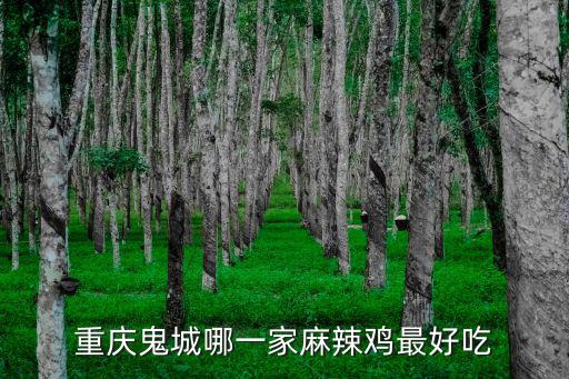 鬼城麻辣雞，豐都鬼城麻辣雞哪家好