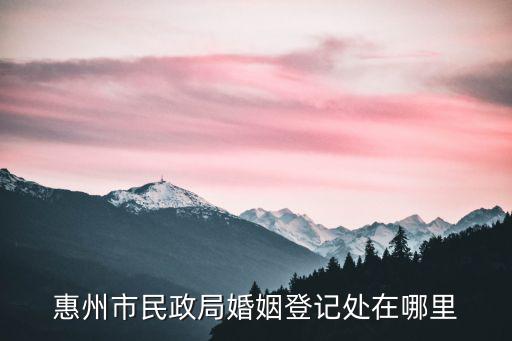 惠州民政局，惠州市民政局婚姻登記處在哪里