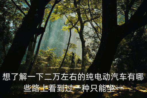 想了解一下二萬左右的純電動汽車有哪些路上看到過一種只能坐一