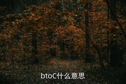 btoc，btoc 是什么意思