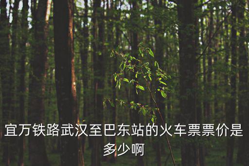 宜萬鐵路武漢至巴東站的火車票票價是多少啊
