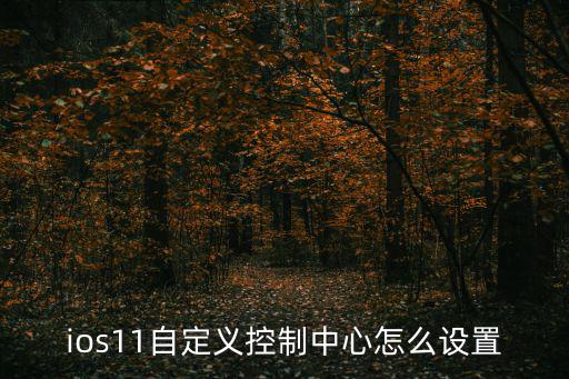 ios11自定義控制中心怎么設(shè)置