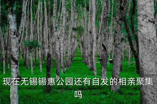 現(xiàn)在無錫錫惠公園還有自發(fā)的相親聚集嗎