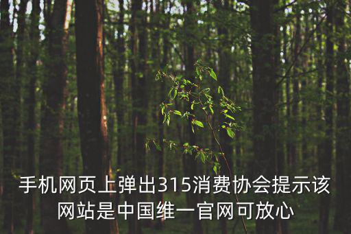 315消費網，打開網站彈出此網站是由 315消費保障網是怎么回事