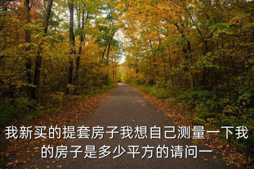 提房子，我新買的提套房子我想自己測量一下我的房子是多少平方的請問一