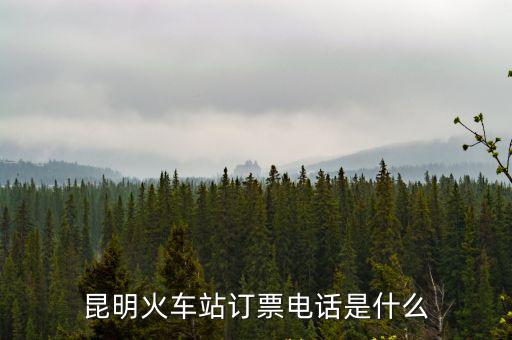 昆明火車站訂票電話是什么