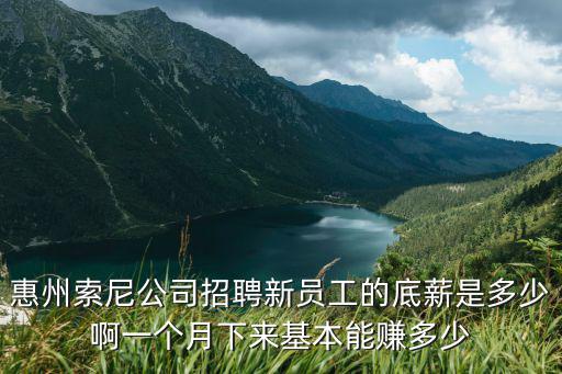 惠州索尼公司招聘新員工的底薪是多少啊一個月下來基本能賺多少