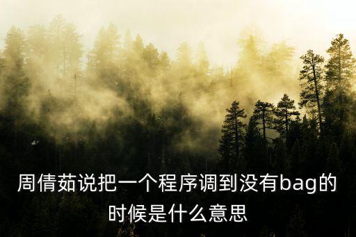 周倩茹說把一個程序調到沒有bag的時候是什么意思