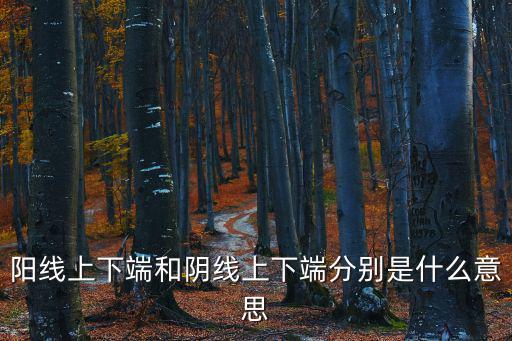 陽線上下端和陰線上下端分別是什么意思