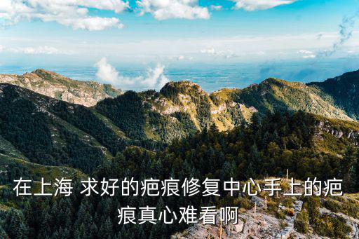 在上海 求好的疤痕修復(fù)中心手上的疤痕真心難看啊