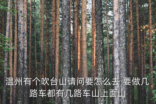 溫州有個吹臺山請問要怎么去 要做幾路車都有幾路車山上面山
