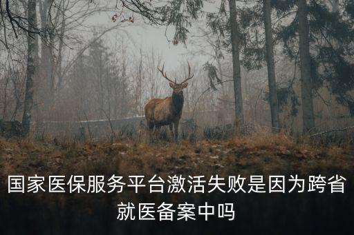 國家醫保服務平臺激活失敗是因為跨省就醫備案中嗎