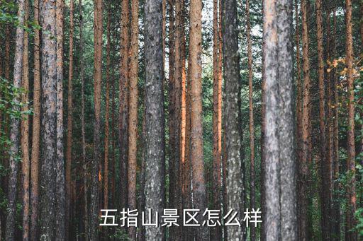 五指山景區怎么樣