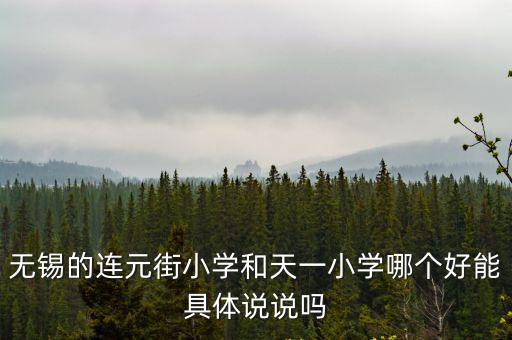 無錫的連元街小學(xué)和天一小學(xué)哪個好能具體說說嗎