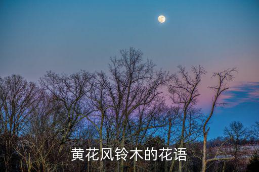 鈴木花，黃花風鈴木的花語