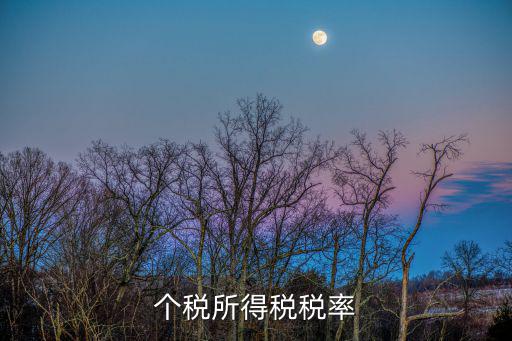 個稅所得稅稅率