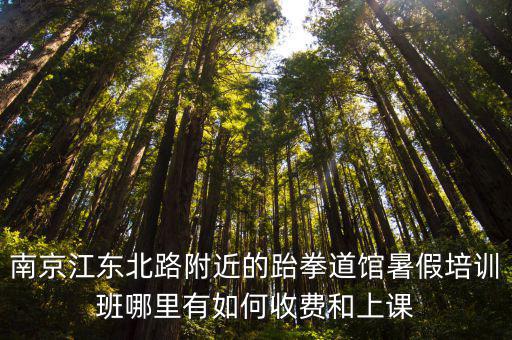 南京江東北路附近的跆拳道館暑假培訓班哪里有如何收費和上課
