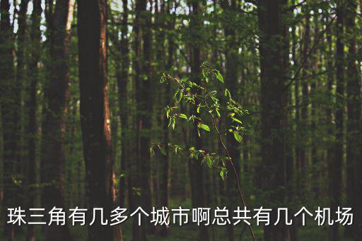 珠三角有幾多個城市啊總共有幾個機場