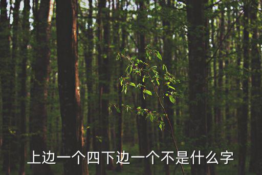 上邊一個四下邊一個不是什么字